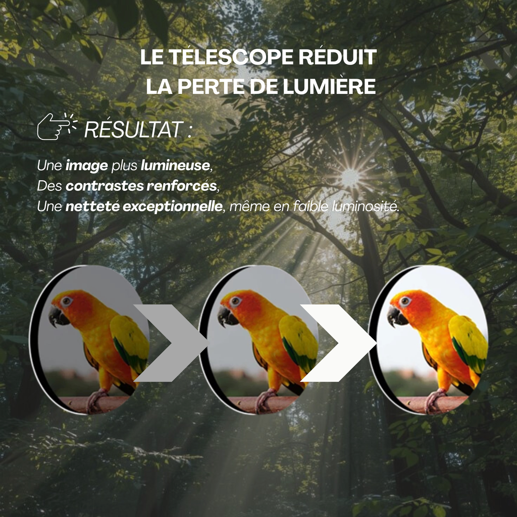 Télescope Astronomique Professionnel HD - Puissant et précis avec support smartphone