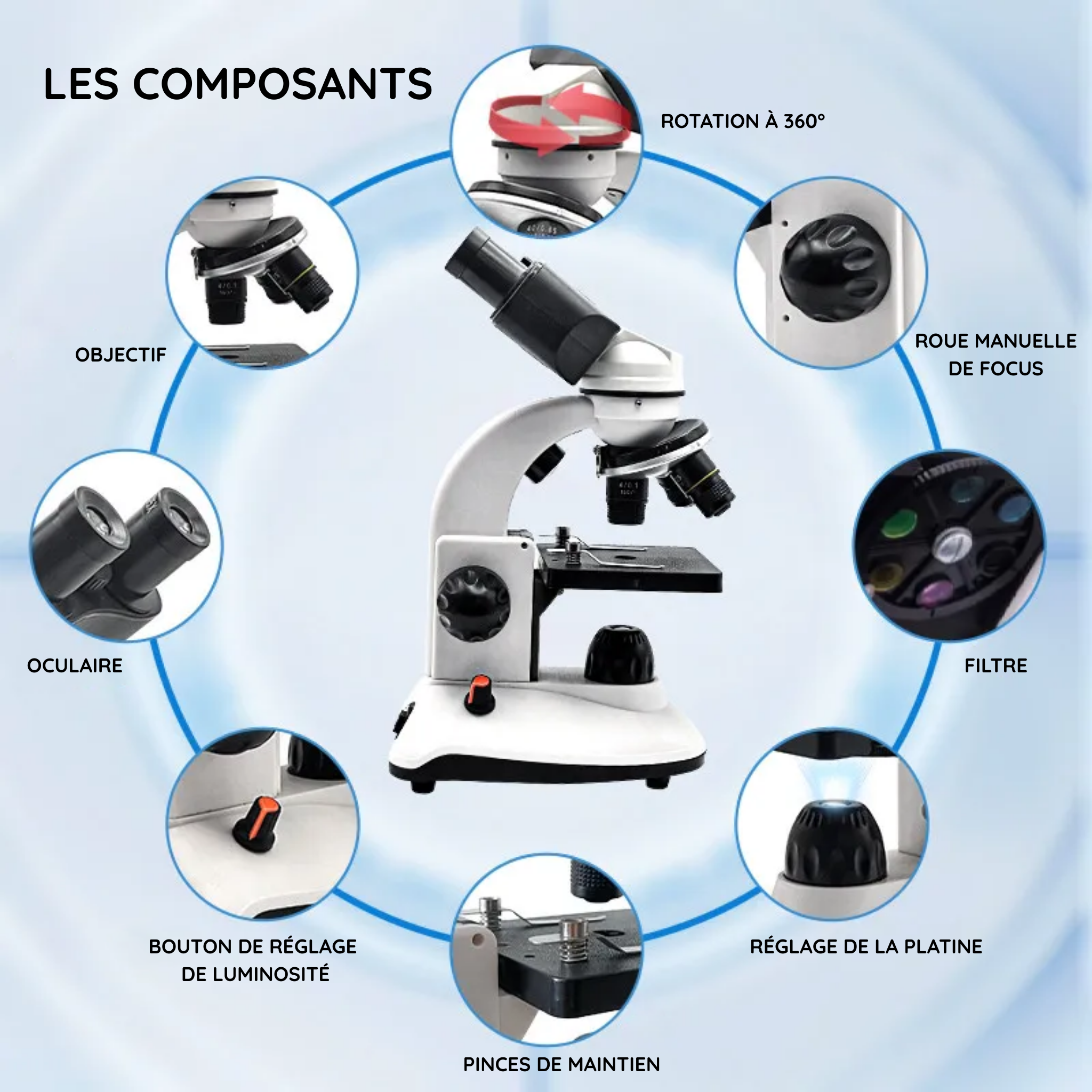 Microscope binoculaire HD – Explorer l’infiniment petit