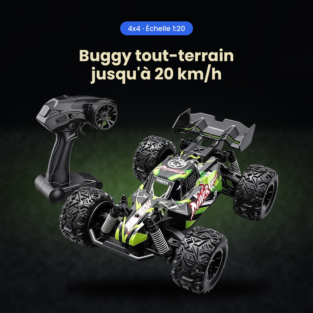 Voiture télécommandée RC Tout Terrain